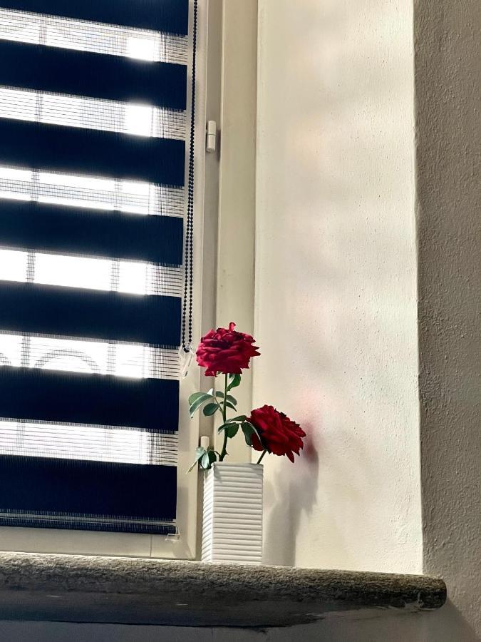 Ca D La Trifola Free Parking Daire Alba  Dış mekan fotoğraf